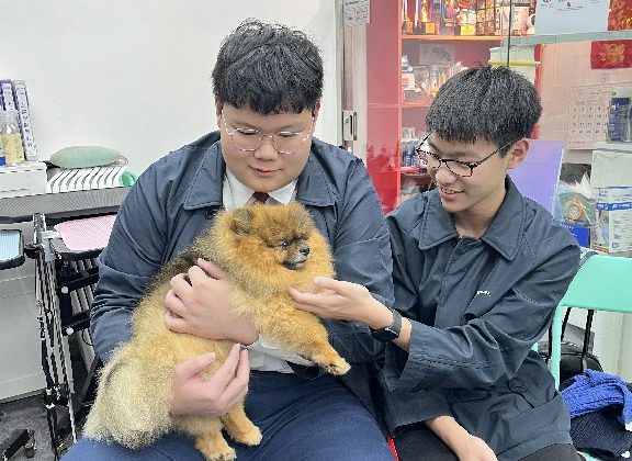 20250226_Pet Grooming_02