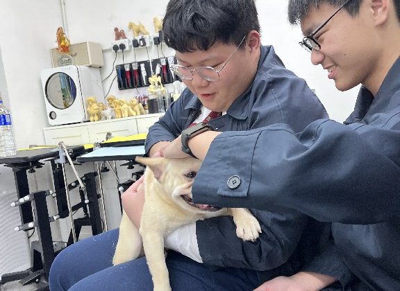 20250226_Pet Grooming_03