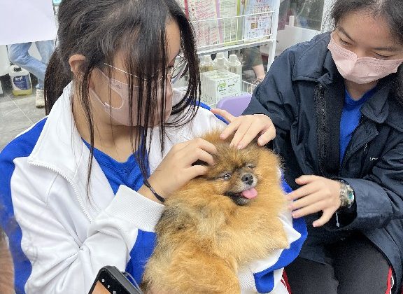 20250226_Pet Grooming_04