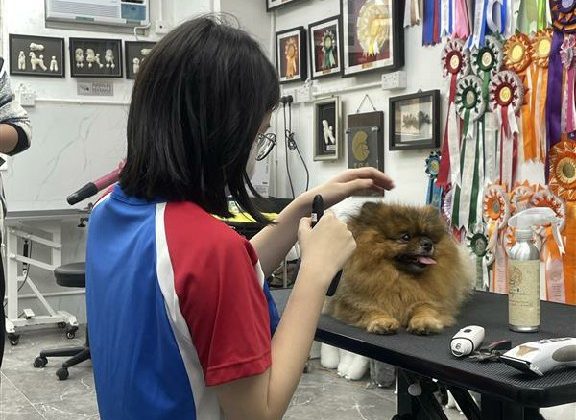 20250226_Pet Grooming_05