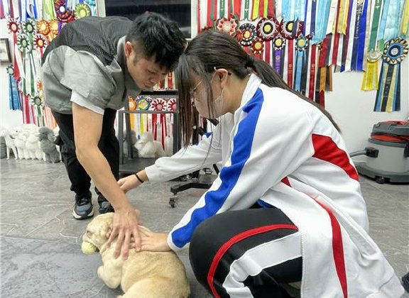 20250226_Pet Grooming_06