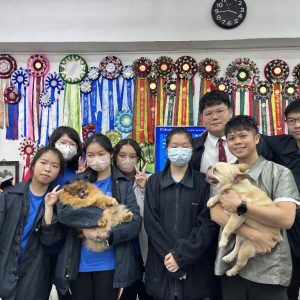 20250226_Pet Grooming_07