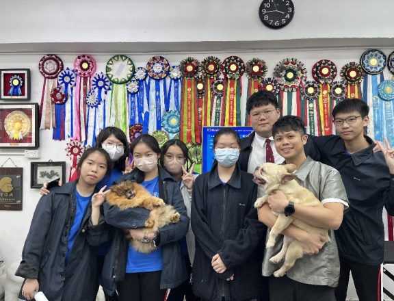 20250226_Pet Grooming_07