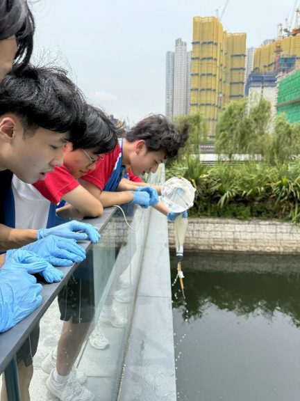 20250728_Water Quality Testing and Microalgae Observation_04