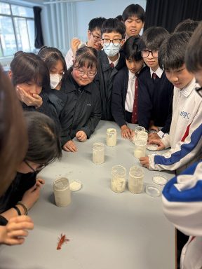20260313_中三級特色課業_11