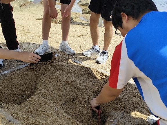 20260710_生物及化學科海下灣考察活動_05