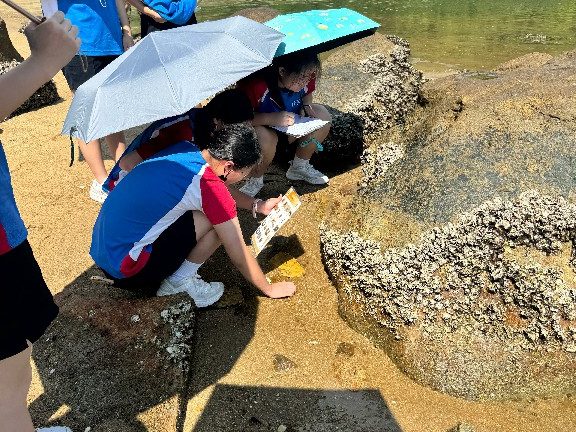 20260710_生物及化學科海下灣考察活動_06